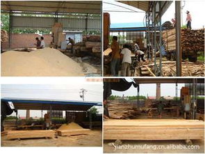 上海旬勒建材 木材加工與建筑材料的專業(yè)服務(wù)商